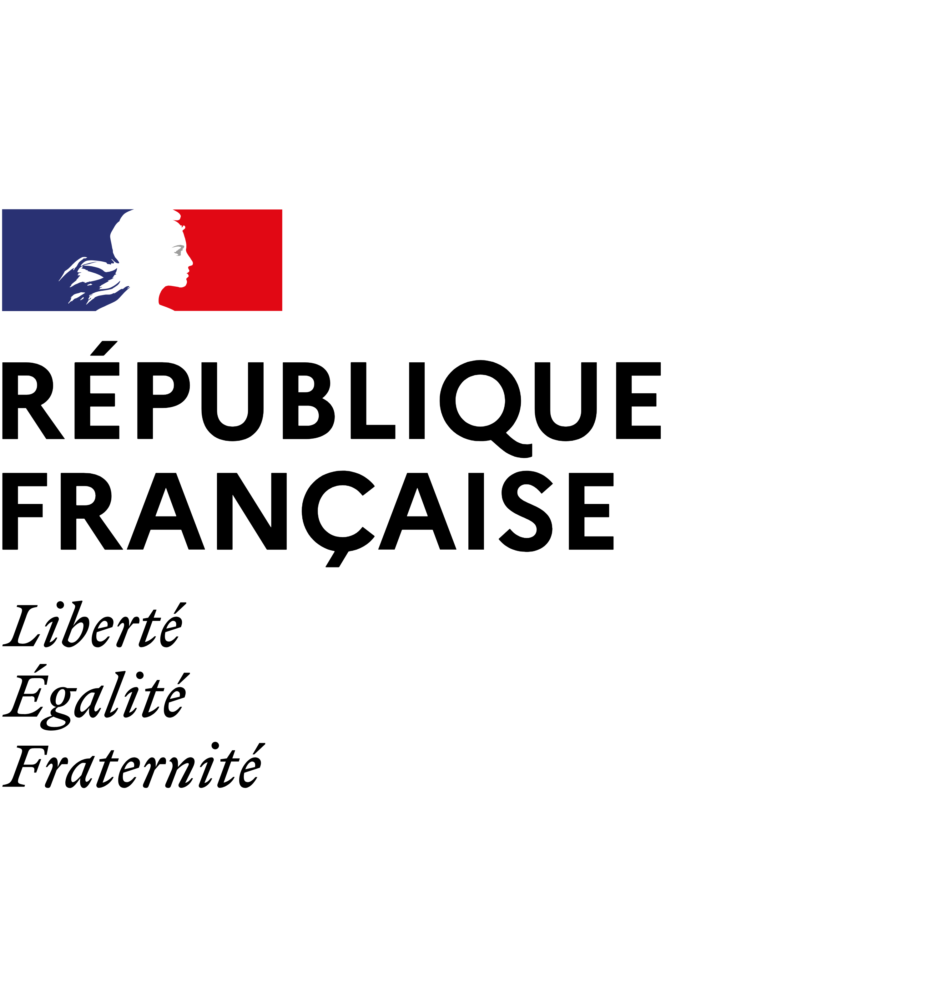 Logo Republique Francaise